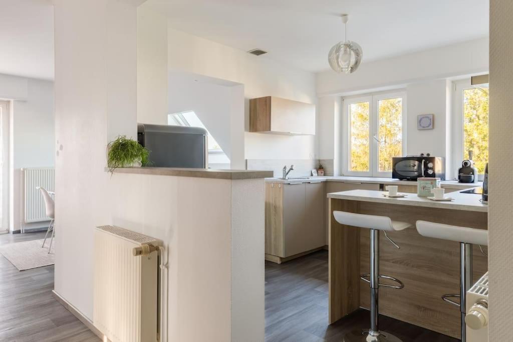 Appartement Climatise 70 M2, Proximite De Colmar Sainte-Croix-en-Plaine Εξωτερικό φωτογραφία