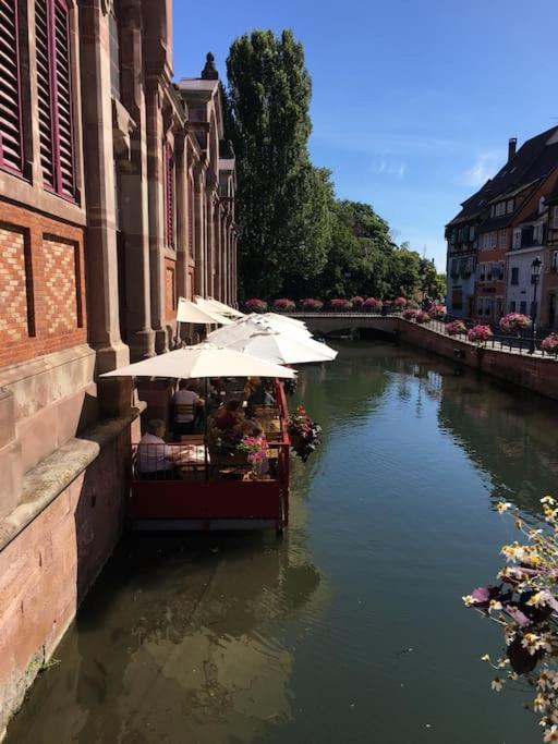 Appartement Climatise 70 M2, Proximite De Colmar Sainte-Croix-en-Plaine Εξωτερικό φωτογραφία